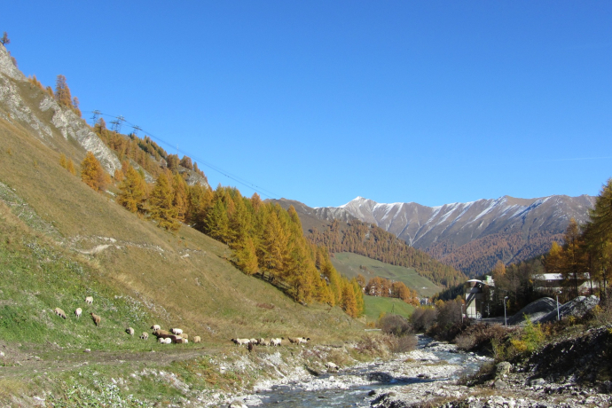 Schergenbach im Herbst