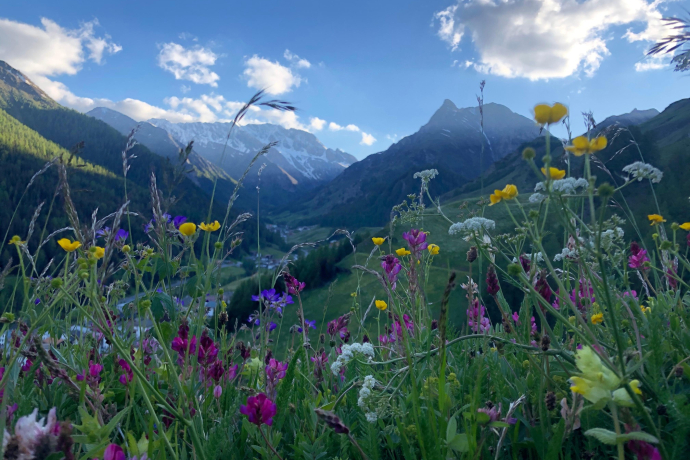 Oberhalb von Compatsch