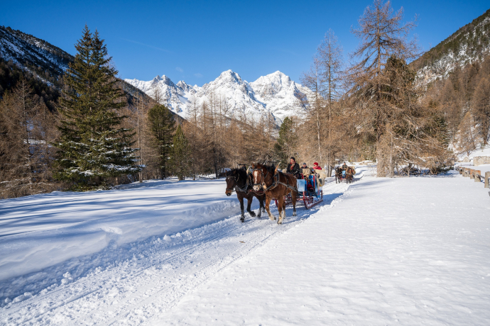 Horse-drawn sled to S-charl