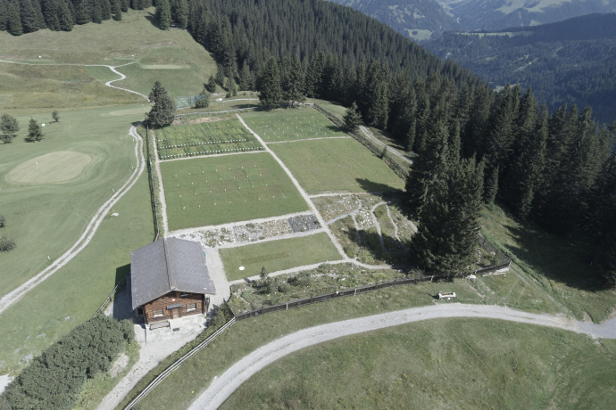 maran_alpengarten maran_alpengarten