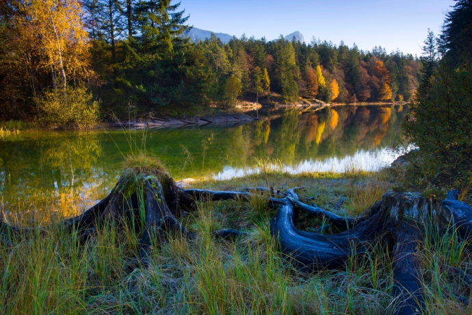 Fischen im Chapfensee (oua_604421664_image)