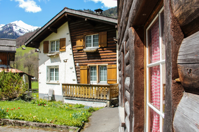 Weisstannen (oua_604435858_image)