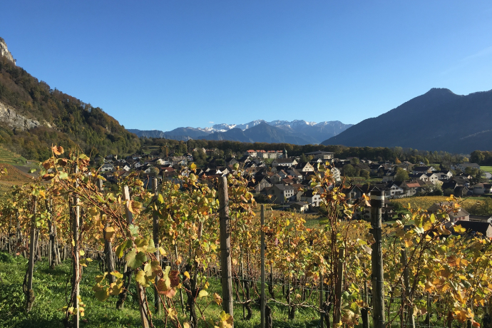 Fläsch (oua_604478381_image)