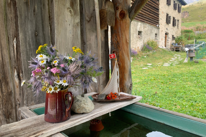 Wanderweg Alp Flix (zugänglich für Blinde) (oua_604892047_image)