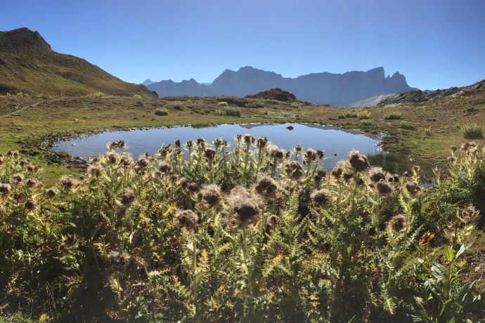 Auf dem Alpenpässeweg von Radons nach Ausserferrera (oua_605029514_image)