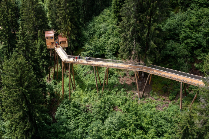 Senda dil Dragun, Treetop Walkway (oua_60534770_image) Senda dil Dragun, Treetop Walkway (oua_60534770_image)
