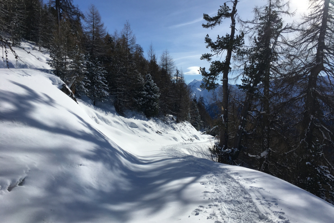 Von Lü geht es östlich in Richtung Alp Tabladatsch