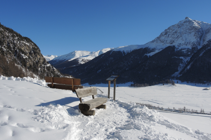 Panchina Arschaida (oua_605632686_image)