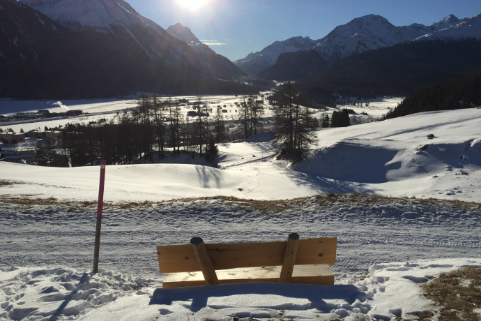 Bench Cristolais - Aussicht Samedan (oua_605632907_image) Bench Cristolais - Aussicht Samedan (oua_605632907_image)
