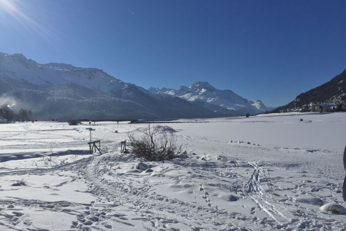 Bench Lej Suot (oua_605632991_image)