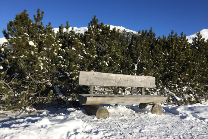 Panca Champagnola (oua_605633051_image)