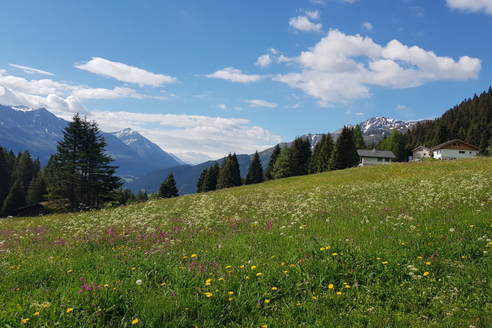 JST Mountain Drive Route - Edelweiss-Rundweg Tour