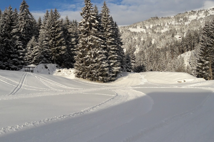 Kleinstloipe für Skating