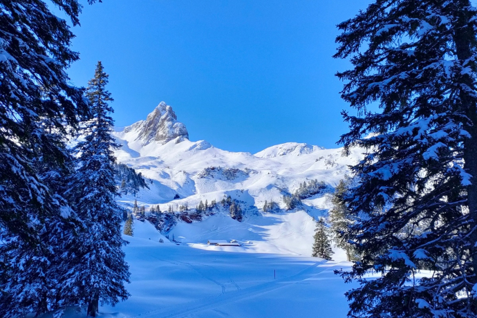 A few meters left until Seebenalp