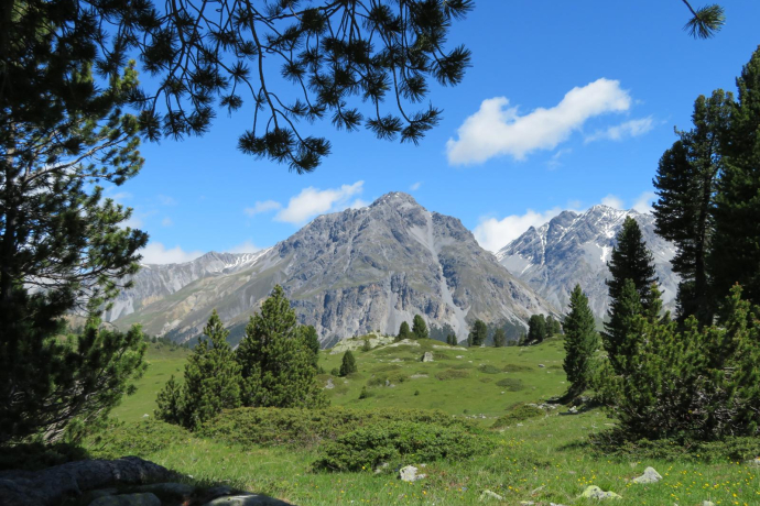 Buffalora - Jufplaun (oua_606870430_image)