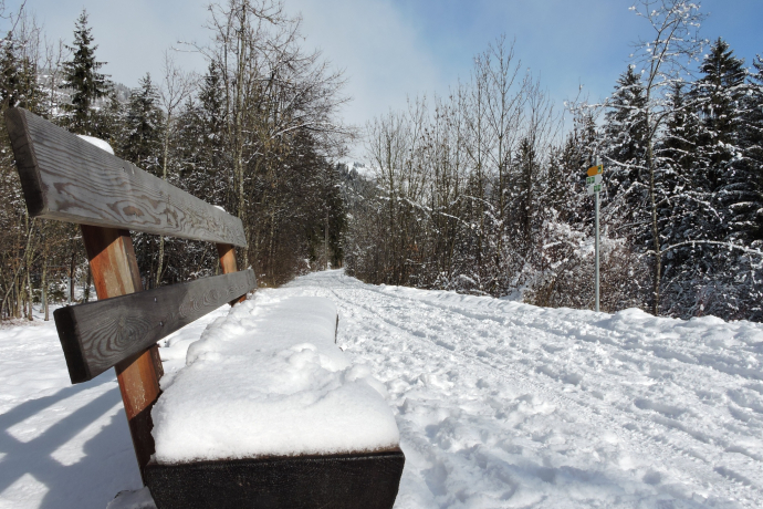 Gemütliches Einlaufen bei Ilanz