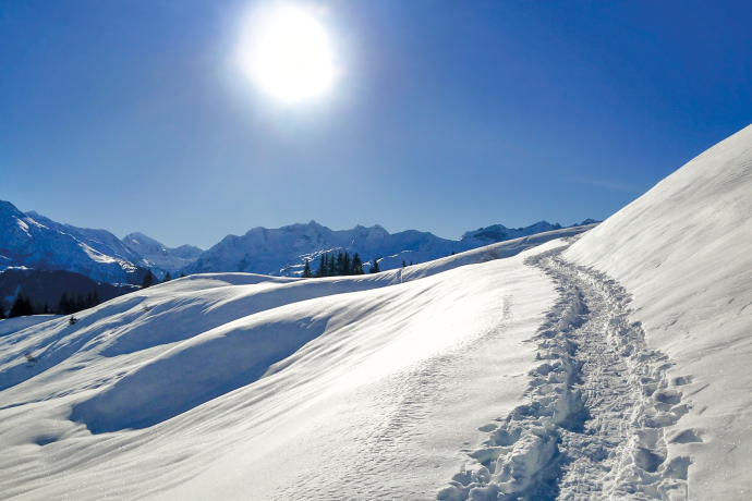 Im Aufstieg zum Cuolmet