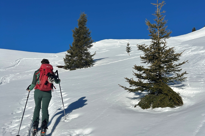 Steter Aufstieg macht den Gipfelsieg
