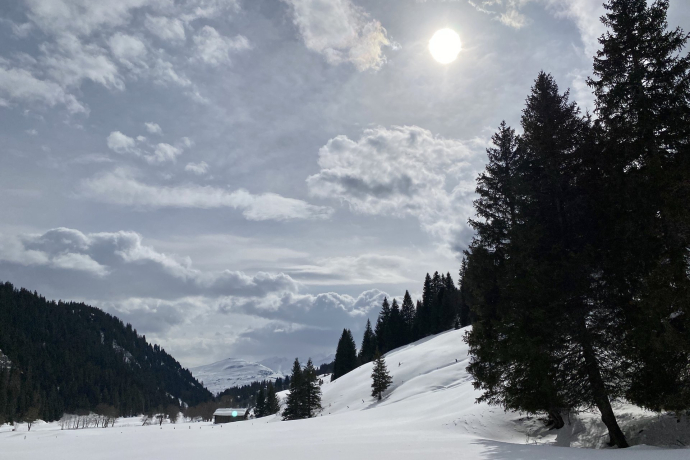 Gegenlicht im Ladral