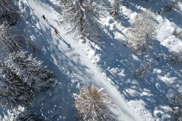 Pontresina - Morteratsch (oua_607839241_image)