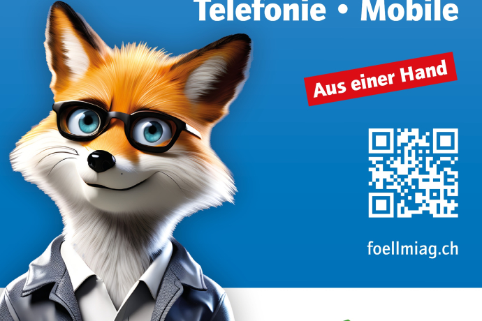 Föllmi ICT AG - IT, Internet, Telefonie & Mobile (oua_607879477_image)