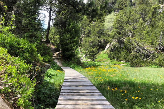 Malögin près de Maloja