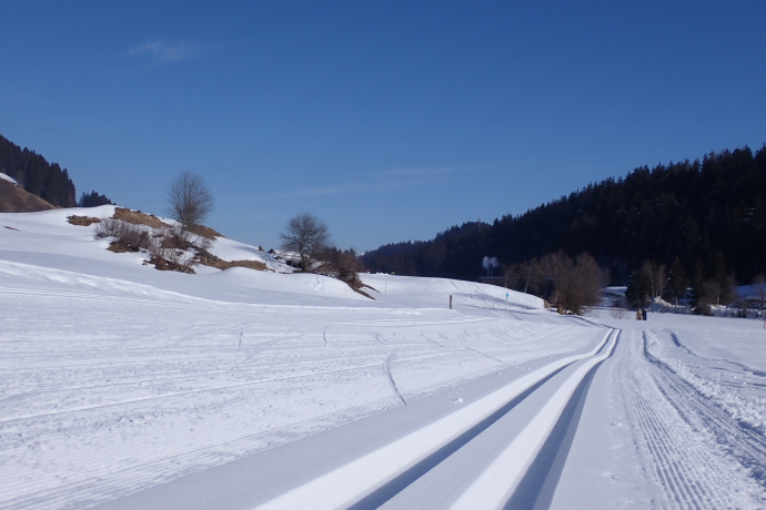 Klassisch und Skating gespurt