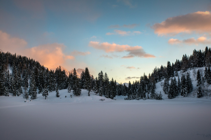Alpe Pian Doss