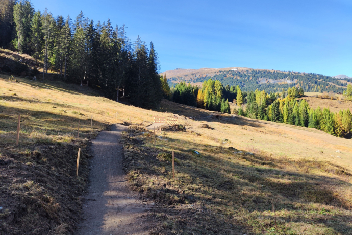 Parnoz Flowtrail (oua_610147453_image)