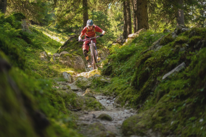 Écusson de Tiarms (oua_610300064_image)