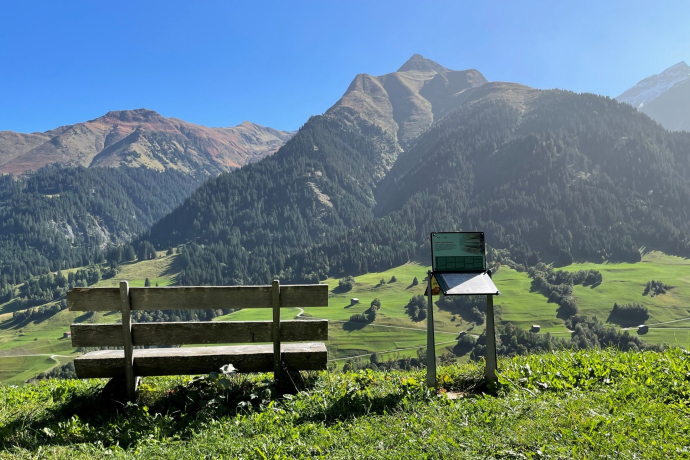 Al pei dil Pèz Regina