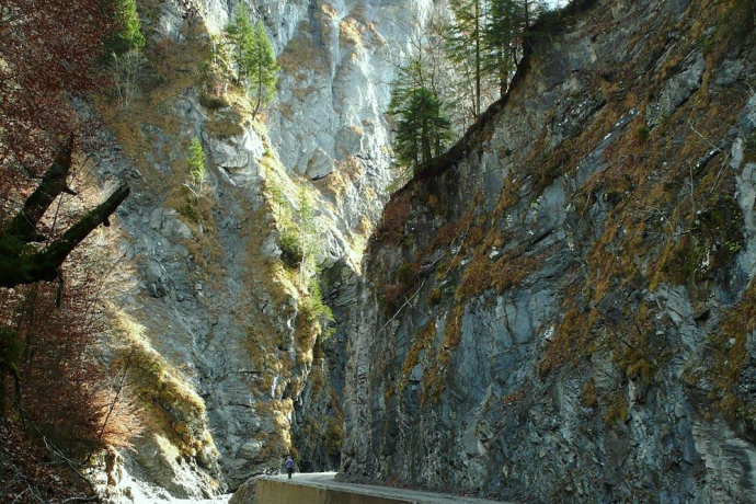 Wanderung Schraubachtobel