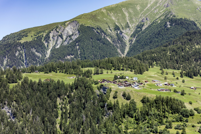 Trans (oua_611519380_image)