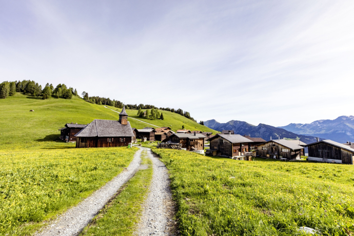 Mutten (oua_611519453_image)