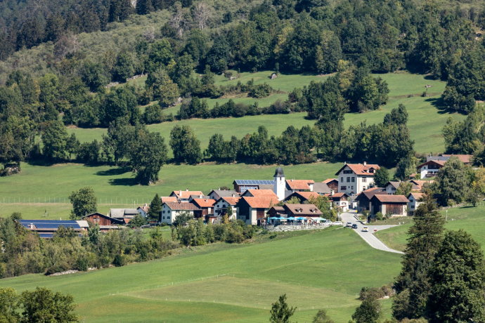 Pignia (oua_611519495_image)