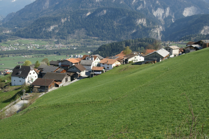 Tartar (oua_611519519_image)