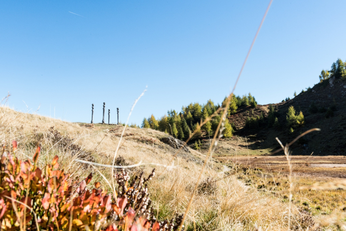 I tredici (oua_611519565_image)