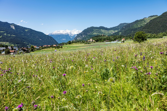 Pratval (oua_611519608_image)