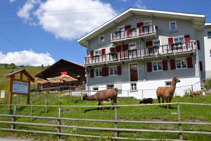 Gasthaus Alpina (oua_611519842_image) Gasthaus Alpina (oua_611519842_image)