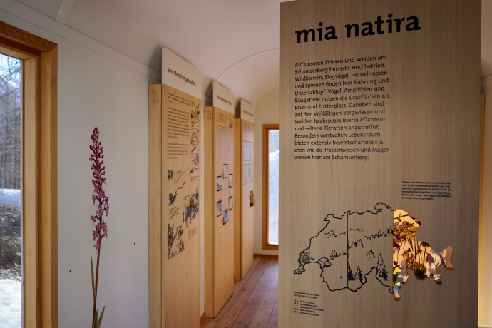 Mostra "Mia natira" - prati e pascoli sullo Schamserberg (oua_611520165_image) Mostra "Mia natira" - prati e pascoli sullo Schamserberg (oua_611520165_image)