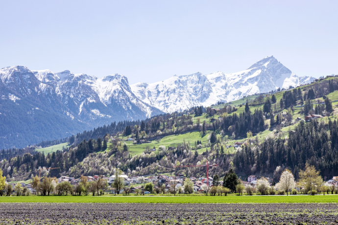 Cazis (oua_611520187_image)