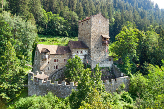 Ehrenfels Castle (oua_611520299_image) Ehrenfels Castle (oua_611520299_image)