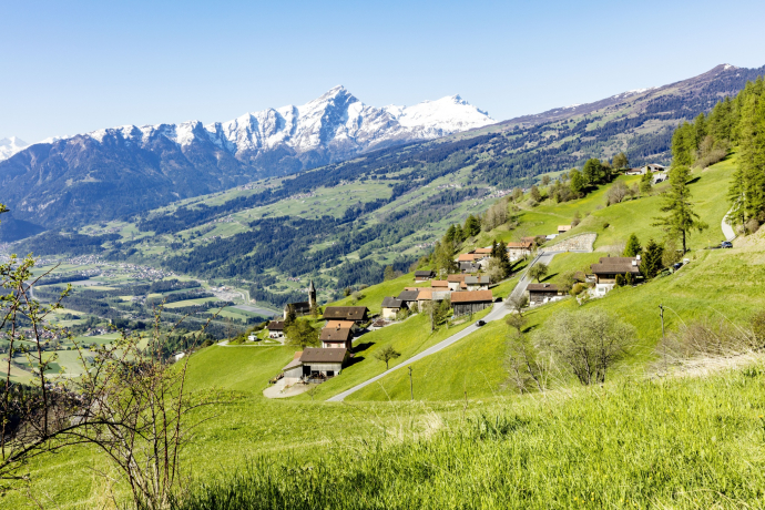 Scheid (oua_611520369_image)