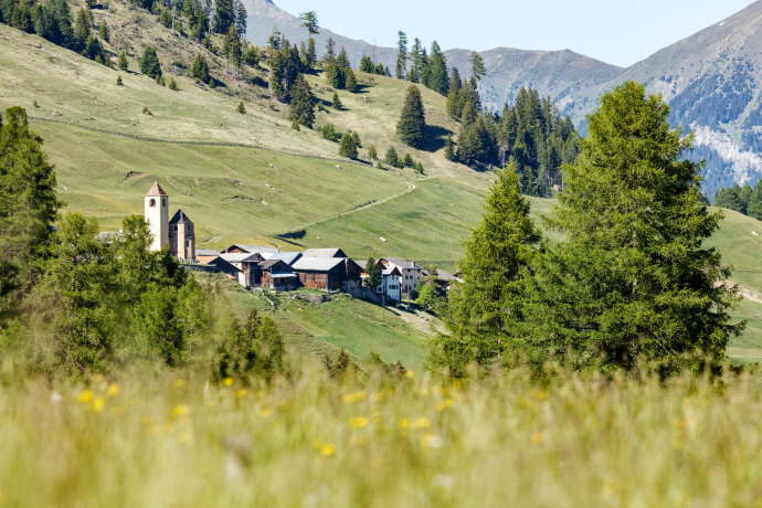 Lohn (oua_611520377_image)