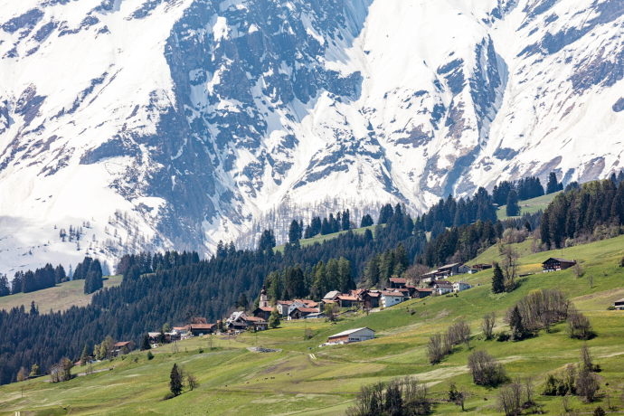 Sarn (oua_611520407_image)