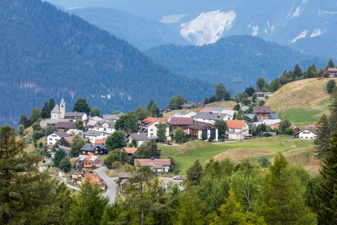 Feldis (oua_611520421_image)