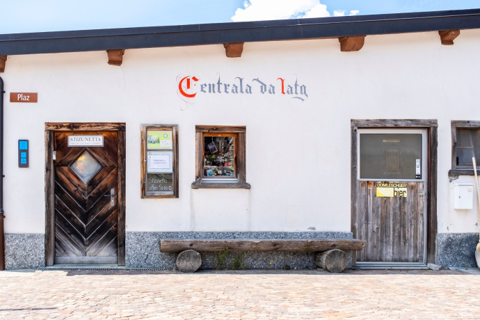 Stizunetta Feldis (oua_611520487_image)