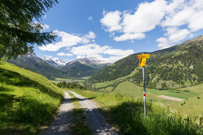 Bear themed trail ‘senda da l'uors’ near Fuldera (oua_611525988_image)