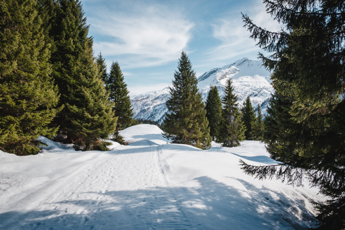 Furestin-Schneeschuhweg