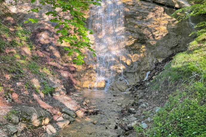 Trail- Route: Palfries Lanaberg